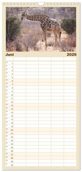 Produktbild: Familienplaner 2026 - Namibia - Sehnsucht der Ferne mit 5 Spalten (Wandkalender, 21 x 45 cm) CALVENDO