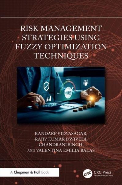 Produktbild: Risk Management Strategies Using Fuzzy Optimization Techniques