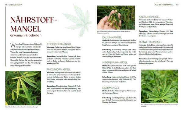 Produktbild: Cannabis-Anbau f&uuml;r Anf&auml;nger