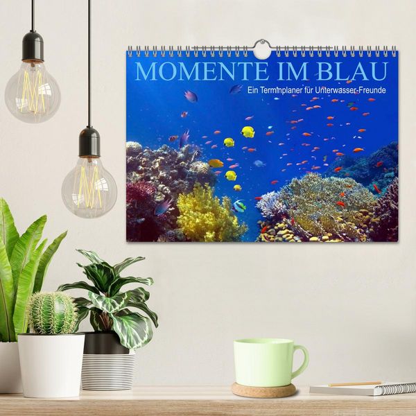 Produktbild: Momente im Blau - Ein Terminplaner f&uuml;r Unterwasser-Freunde (Wandkalender 2026 DIN A4 quer), CALVENDO Monatskalender