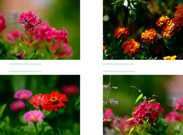 33 JPEG-Rezepte für Fujifilm X-Kameras