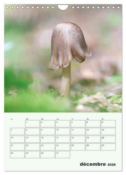 Produktbild: Champignons magiques - Beaut&eacute;s &eacute;ph&eacute;m&egrave;res (Calendrier mural 2026 DIN A4 horizontal), CALVENDO calendrier mensuel