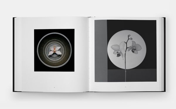 Produktbild: Mapplethorpe Flora: The Complete Flowers (2024)