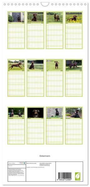 Produktbild: Familienplaner 2026 - Dobermann mit 5 Spalten (Wandkalender, 21 x 45 cm) CALVENDO