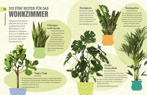 Produktbild: So &uuml;berleben Zimmerpflanzen garantiert