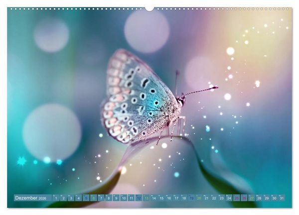 Produktbild: Filigrane Leichtigkeit - Schmetterlinge (Wandkalender 2026 DIN A2 quer), CALVENDO Monatskalender