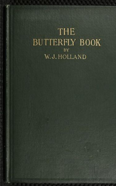 Produktbild: The Butterfly Book