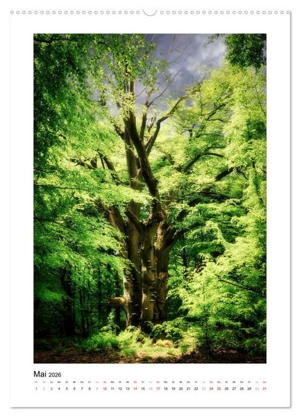 Produktbild: M&auml;rchenhaft mystisch (hochwertiger Premium Wandkalender 2026 DIN A2 hoch), Kunstdruck in Hochglanz