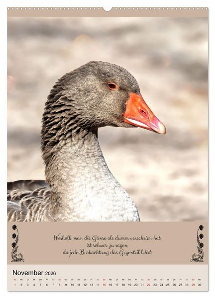 Produktbild: Buntes Tierleben (hochwertiger Premium Wandkalender 2026 DIN A2 hoch), Kunstdruck in Hochglanz