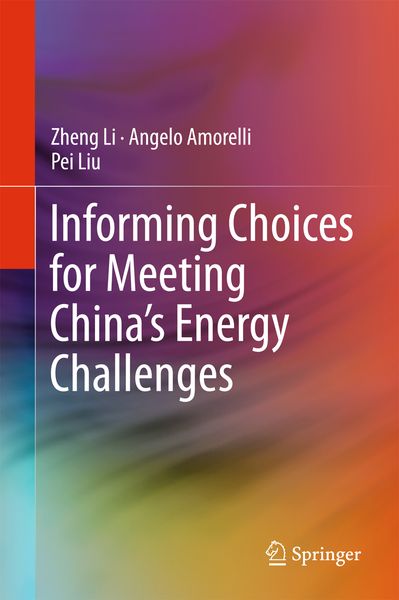 Produktbild: Informing Choices for Meeting China&rsquo;s Energy Challenges