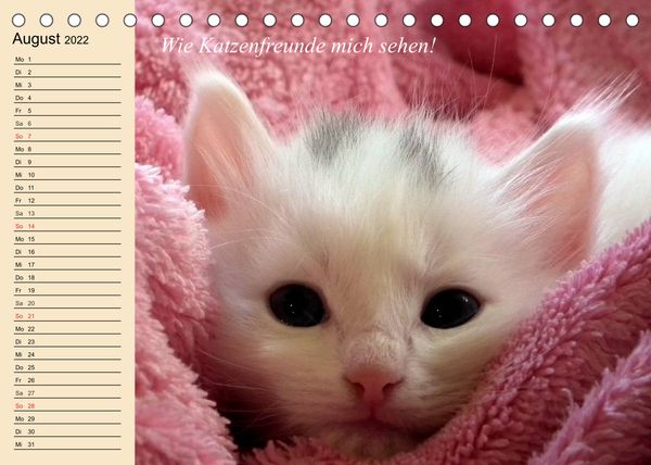 Produktbild: Unsere Katzen. Wie sie wirklich sind! (Tischkalender 2022 DIN A5 quer)