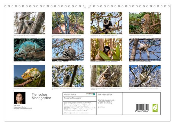Produktbild: Tierisches Madagaskar (Wandkalender 2026 DIN A3 quer), CALVENDO Monatskalender
