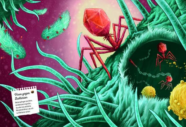 Produktbild: Verborgene Welt des Mikrokosmos
