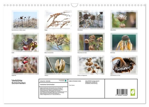 Produktbild: Verbl&uuml;hte Sch&ouml;nheiten (Wandkalender 2027 DIN A3 quer), CALVENDO Monatskalender