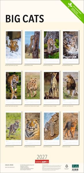Produktbild: Big Cats Kalender 2027