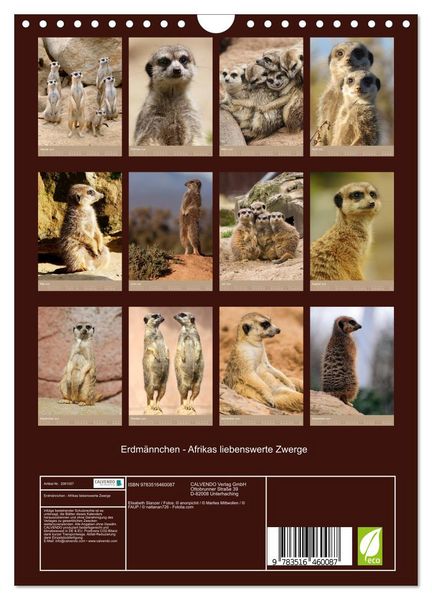 Produktbild: Erdm&auml;nnchen - Afrikas liebenswerte Zwerge (Wandkalender 2026 DIN A4 hoch), CALVENDO Monatskalender