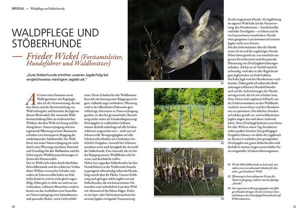 Produktbild: Jagen mit St&ouml;berhunden