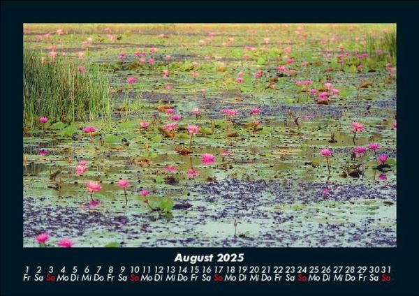 Produktbild: Rosen-Kalender 2025 Fotokalender DIN A5
