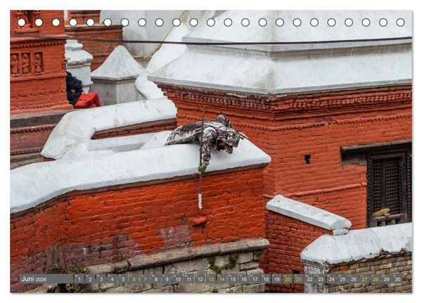 Produktbild: K&ouml;nigsst&auml;tte im Kathmandutal (Tischkalender 2026 DIN A5 quer), CALVENDO Monatskalender