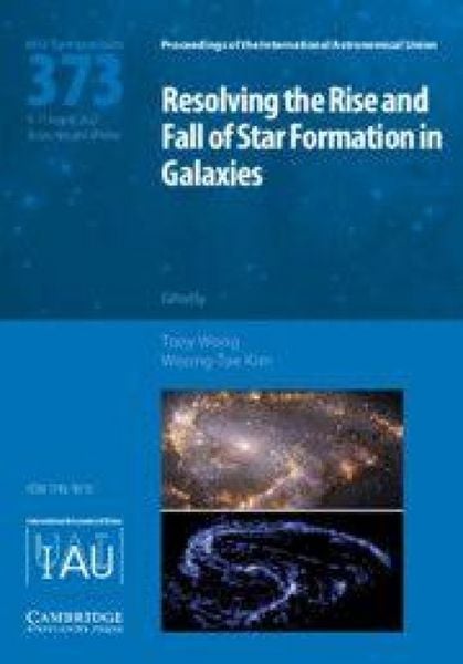Produktbild: Resolving the Rise and Fall of Star Formation in Galaxies (Iau S373)