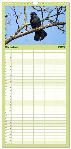 Produktbild: Familienplaner 2026 - Das Leben der Rabenv&ouml;gel mit 5 Spalten (Wandkalender, 21 x 45 cm) CALVENDO