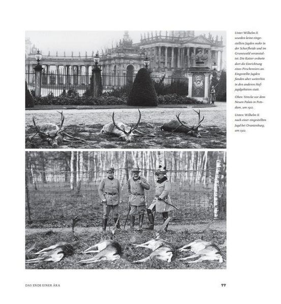 Produktbild: Jagd und Macht