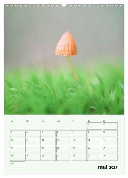 Produktbild: Champignons magiques - Beaut&eacute;s &eacute;ph&eacute;m&egrave;res (Calendrier mural 2027 DIN A2 horizontal), CALVENDO calendrier mensuel
