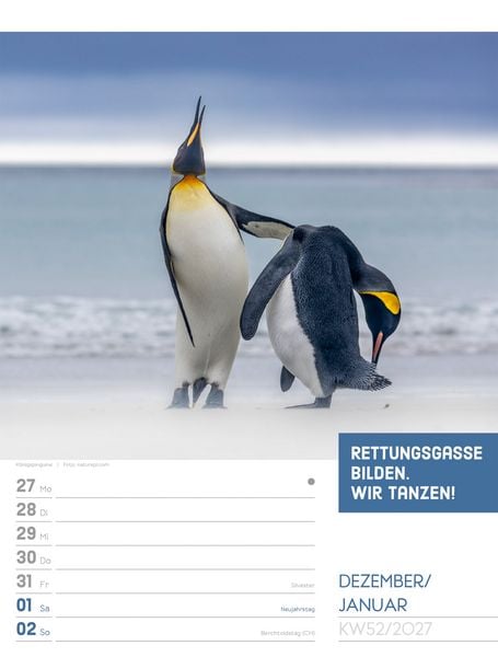 Produktbild: Tierisch Spr&uuml;chekalender Wochenplaner 2027