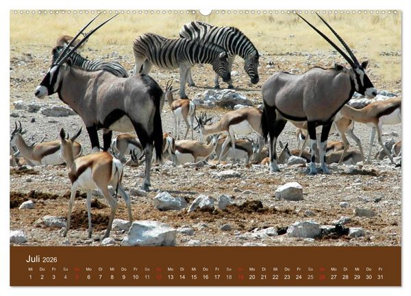 Produktbild: Namibia - faszinierende Menschen und Tiere (hochwertiger Premium Wandkalender 2026 DIN A2 quer), Kunstdruck in Hochglanz