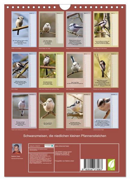 Produktbild: Schwanzmeisen, die niedlichen kleinen Pfannenstielchen (Wandkalender 2026 DIN A4 hoch), CALVENDO Monatskalender