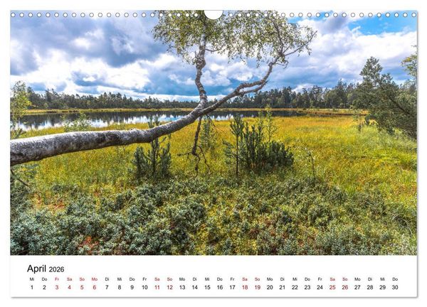 Produktbild: Schwarzwald, Seen und Hochmoore (Wandkalender 2026 DIN A3 quer), CALVENDO Monatskalender