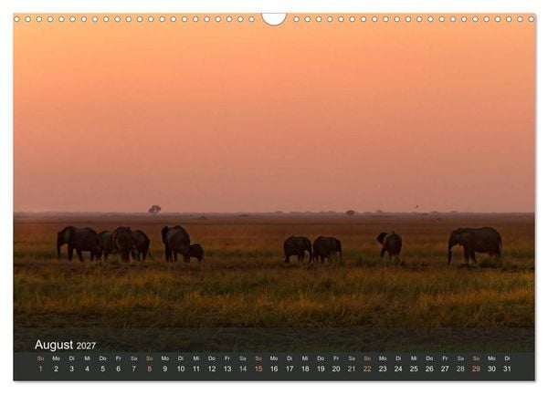 Produktbild: Elefanten (Wandkalender 2027 DIN A3 quer), CALVENDO Monatskalender