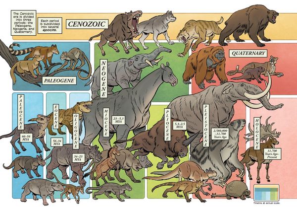 Produktbild: Science Comics: Prehistoric Mammals