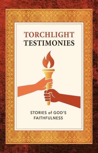 Produktbild: Torchlight Testimonies