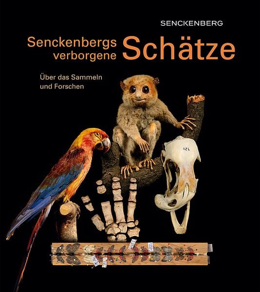 Produktbild: Senckenbergs verborgene Sch&auml;tze