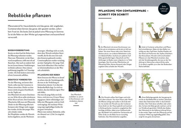 Produktbild: Wein im Garten anbauen & ernten