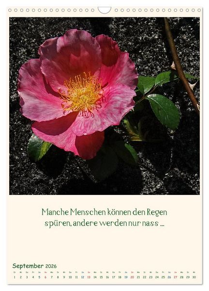Produktbild: Mit Blumen durchs Jahr (Wandkalender 2026 DIN A3 hoch), CALVENDO Monatskalender