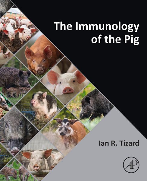 Produktbild: The Immunology of the Pig