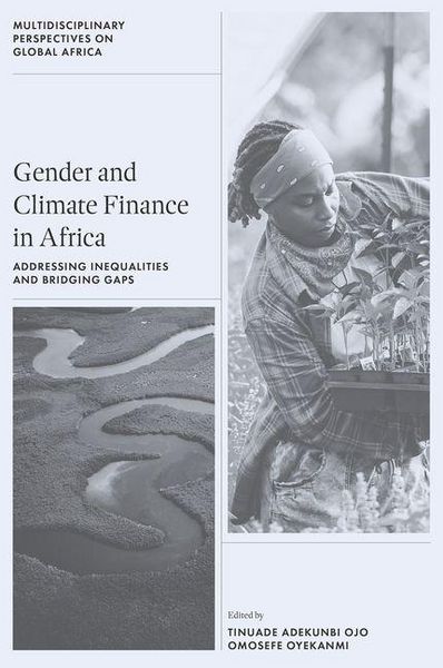 Produktbild: Gender and Climate Finance in Africa