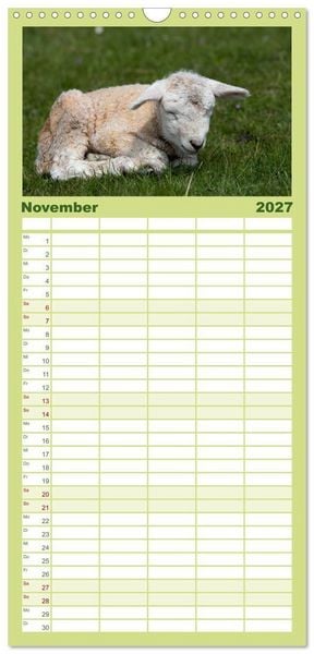 Produktbild: Familienplaner 2027 - Deichschafe - H&uuml;ter der Deiche in Nordfriesland mit 5 Spalten (Wandkalender, 21 x 45 cm) CALVENDO