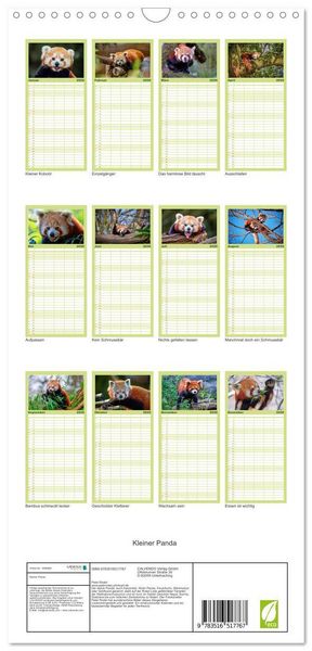 Produktbild: Familienplaner 2026 - Kleiner Panda mit 5 Spalten (Wandkalender, 21 x 45 cm) CALVENDO