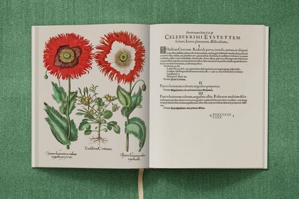 Produktbild: Basilius Besler. The Garden at Eichst&auml;tt