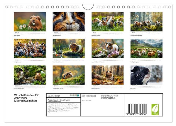 Produktbild: Wuschelbande - Ein Jahr voller Meerschweinchen (Wandkalender 2026 DIN A4 quer), CALVENDO Monatskalender