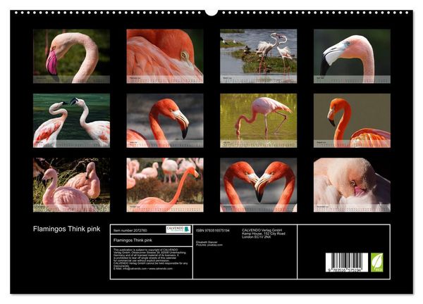 Produktbild: Flamingos Think pink (High Quality Premium Wall Calendar 2026 DIN A2 landscape),CALVENDO 12 Month Wall Calendar