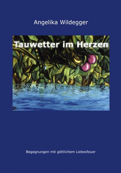 Tauwetter im Herzen, Paperback von Angelika Wildegger, BoD – Books on Demand, 9783831116652