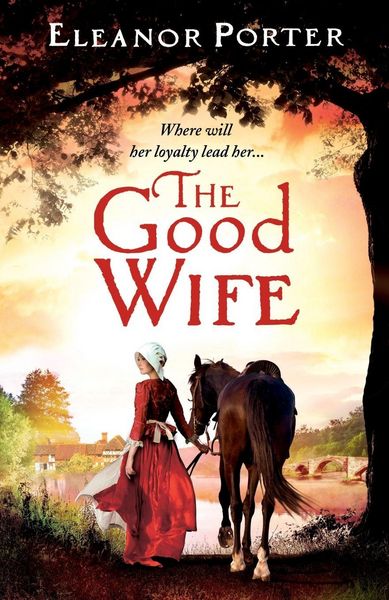 Produktbild: The Good Wife