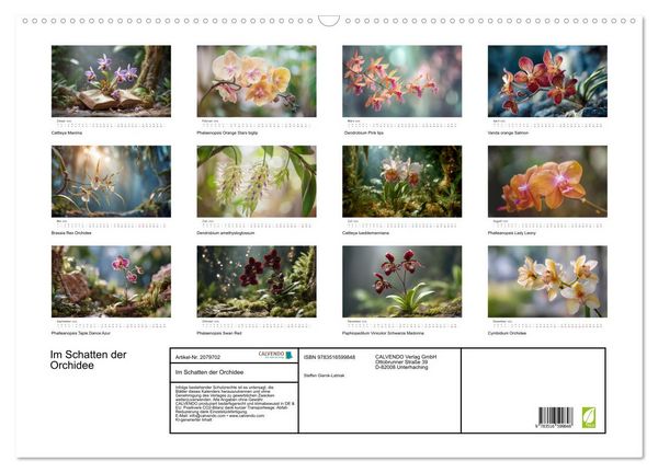 Produktbild: Im Schatten der Orchidee (Wandkalender 2026 DIN A2 quer), CALVENDO Monatskalender