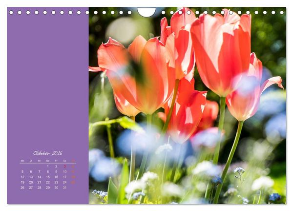 Produktbild: Bl&uuml;tenstil (Wandkalender 2026 DIN A4 quer), CALVENDO Monatskalender