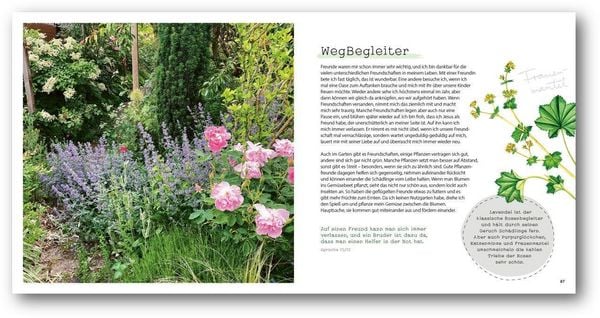 Produktbild: GartenGl&uuml;ck