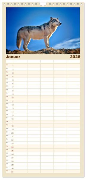 Produktbild: Familienplaner 2026 - W&ouml;lfe - sie sind wieder da mit 5 Spalten (Wandkalender, 21 x 45 cm) CALVENDO